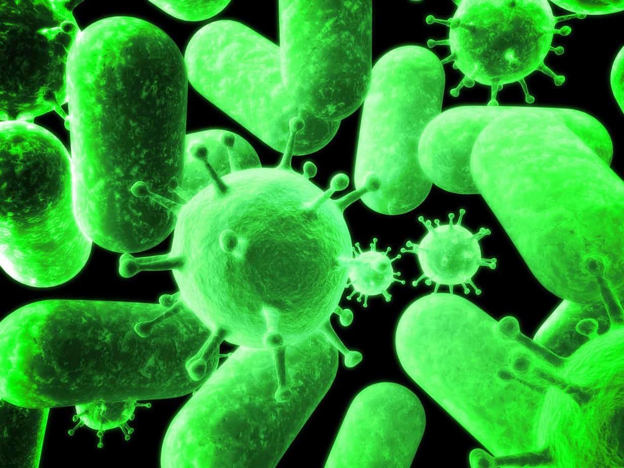 Gut bacteria and health