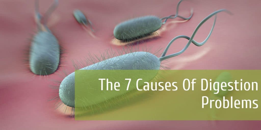The 7 Causes Of Digestion Problems