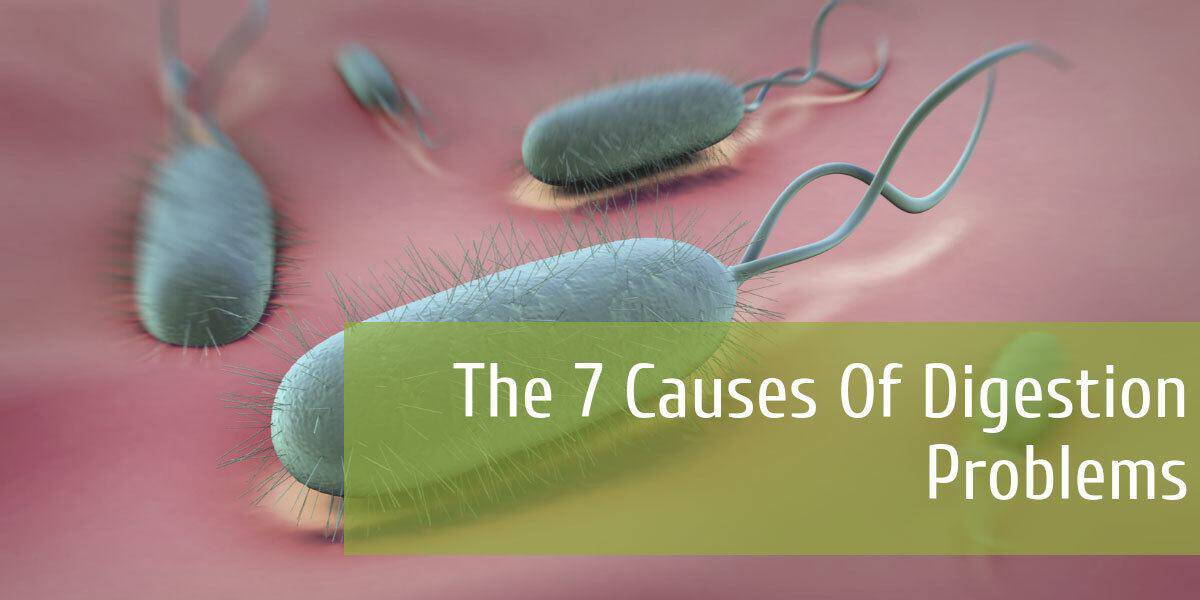 The 7 Causes Of Digestion Problems
