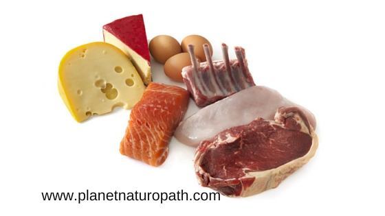 Animal protein sources