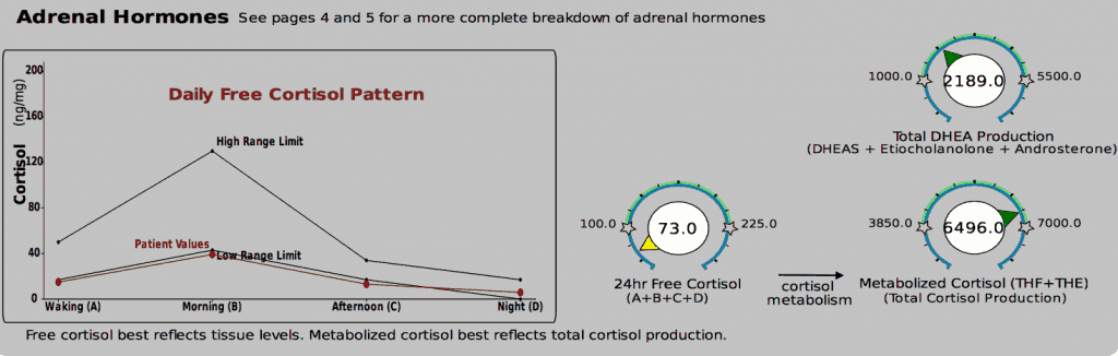 DUTCH test showing low free cortisol, but high total cortisol production