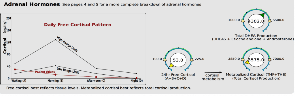 DUTCH test showing low free cortisol and low total cortisol