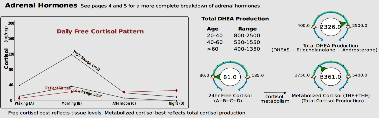 Disrupted cortisol rhythm