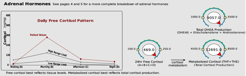 High free and high total cortisol