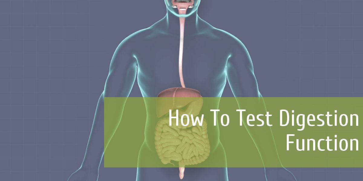 How To Test Digestion Function