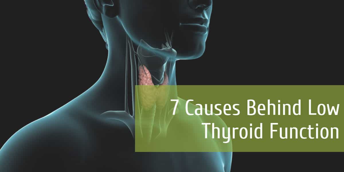 7 Causes Behind Low Thyroid Function