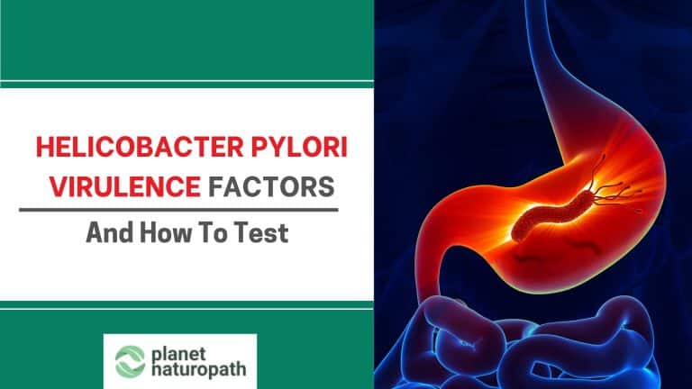 H.pylori factors featured image