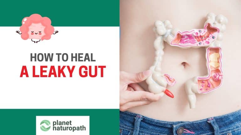 Heal Leaky Gut featured image