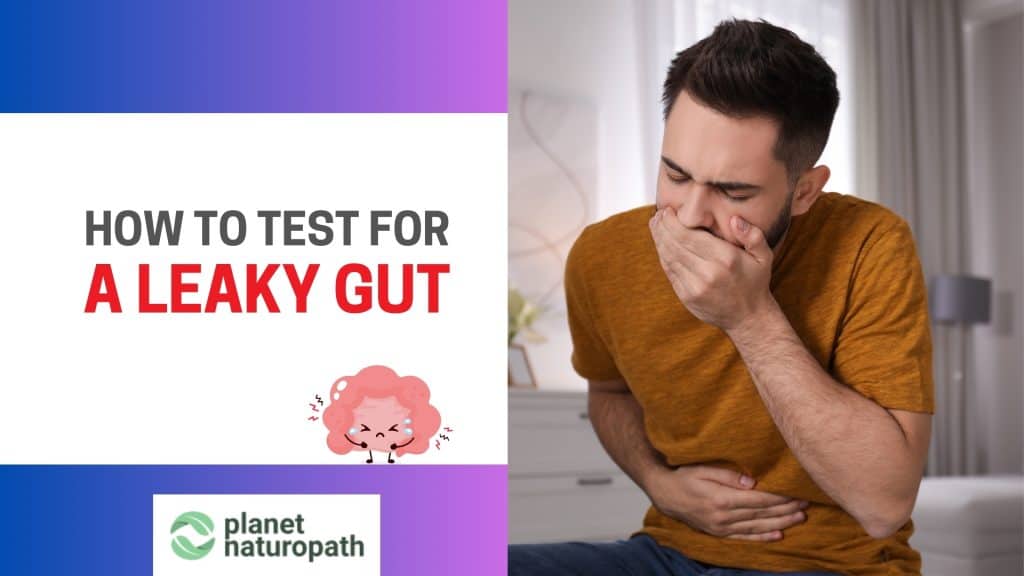 Test Leaky Gut featured image