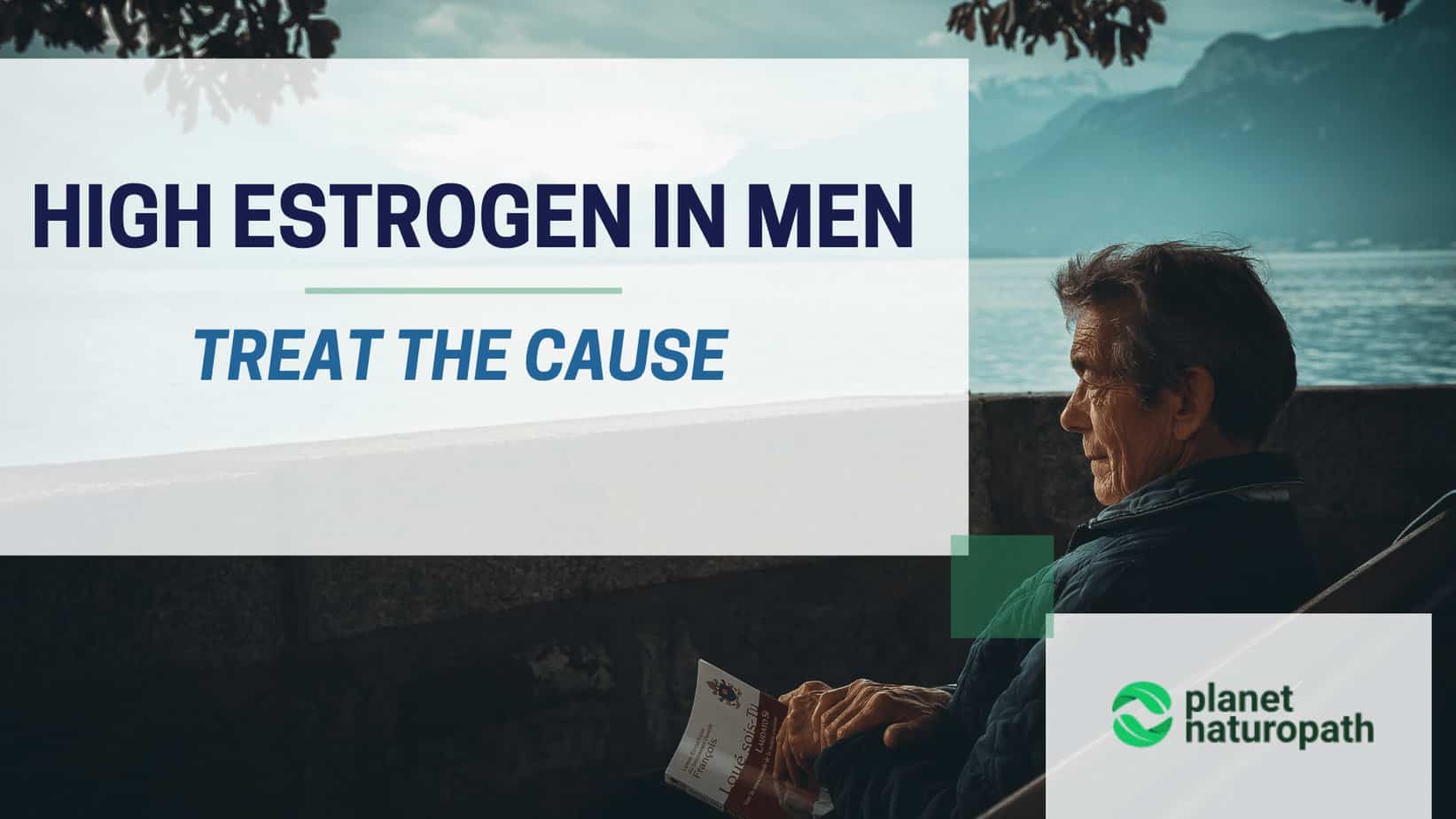 Causes-and-Treatments-Of-High-Estrogen-In-Men