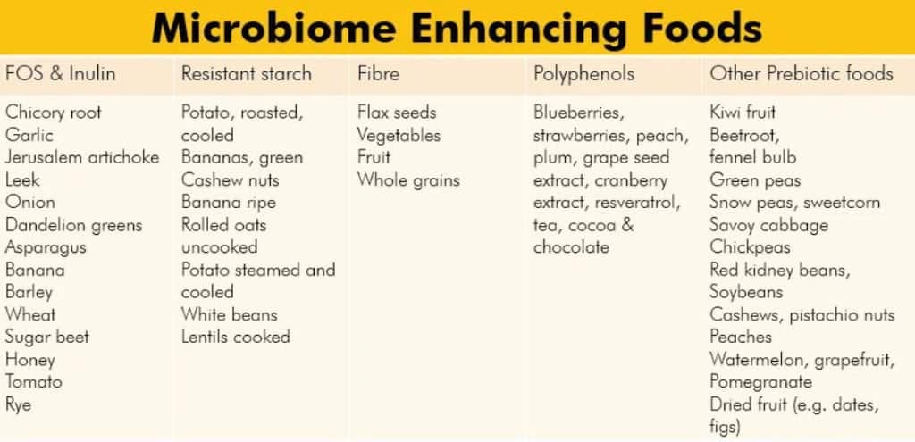 Best Probiotic Supplements 3
