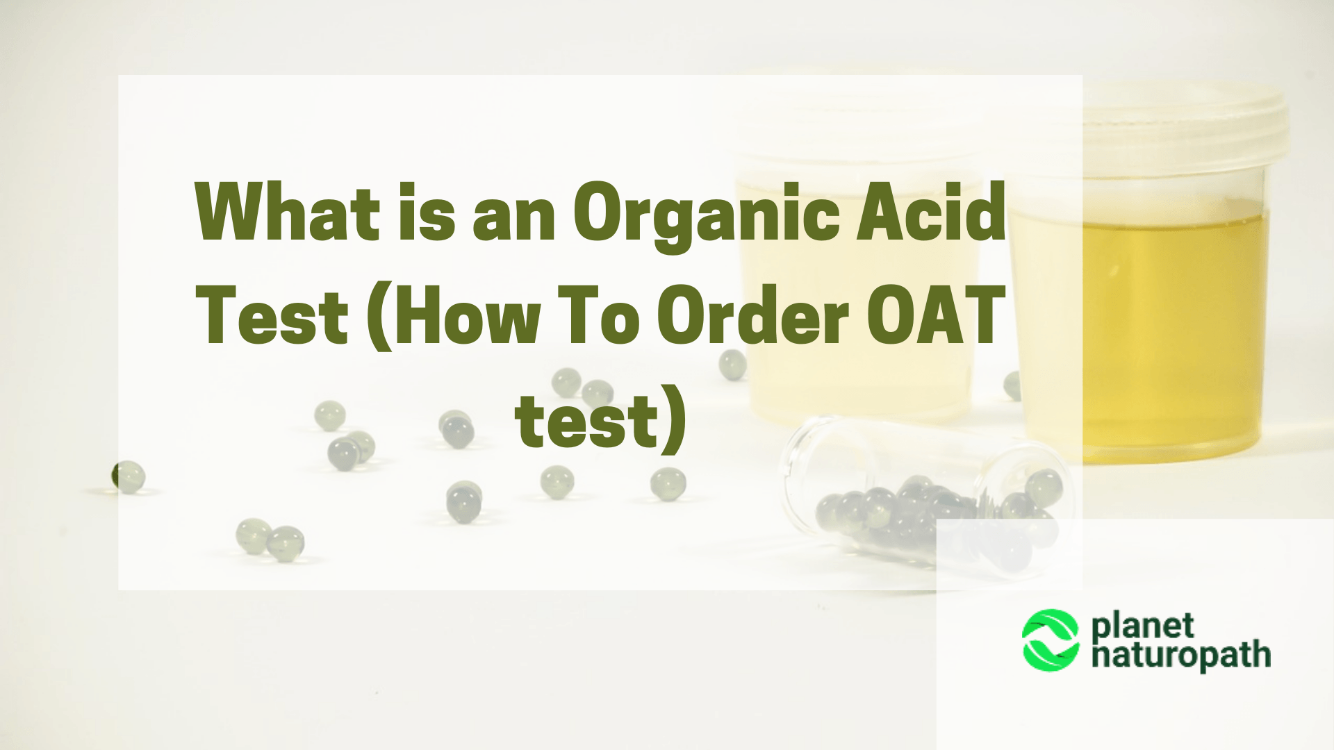 what is the organic acid test(OAT))