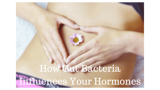 Gut bacteria and your hormones
