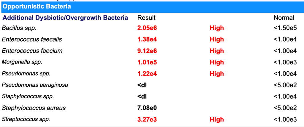 G.I Map opportunistic bacteria