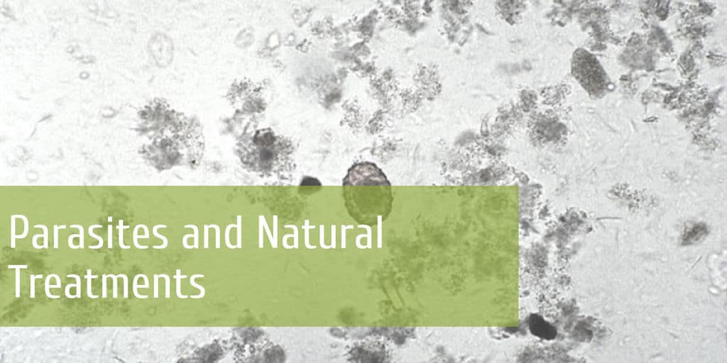 natural parasite treatment