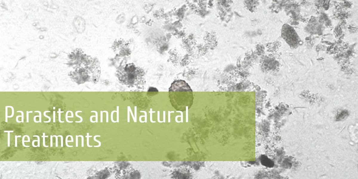 natural parasite treatment