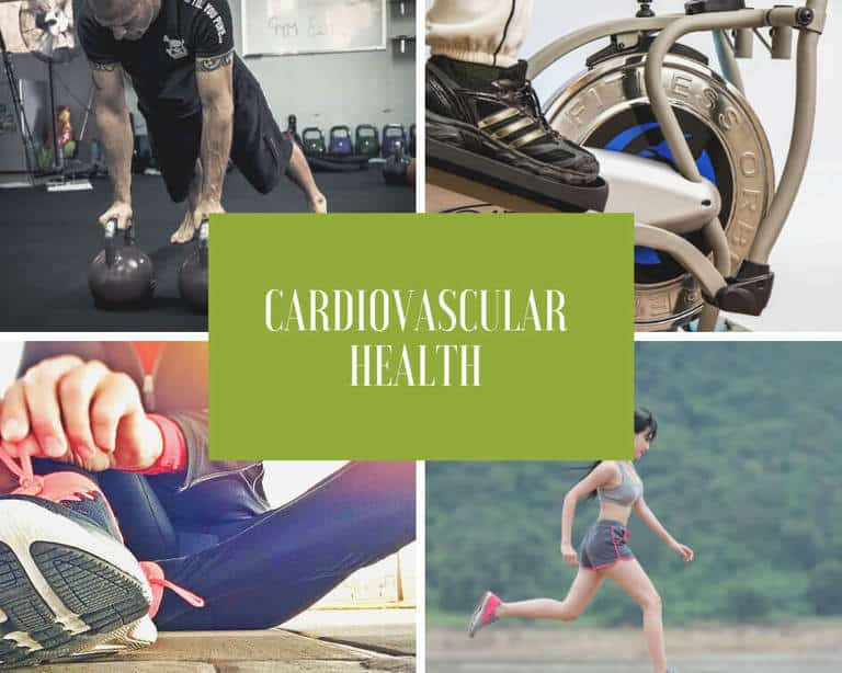Cardiovascular health