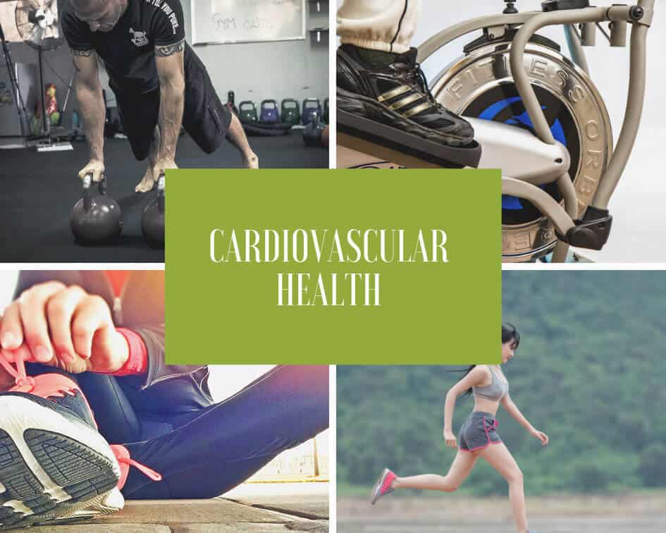 Cardiovascular health