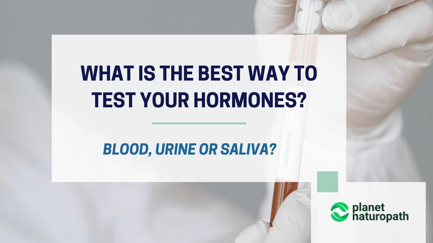What-is-The-Best-Way-To-Test-Your-Hormones