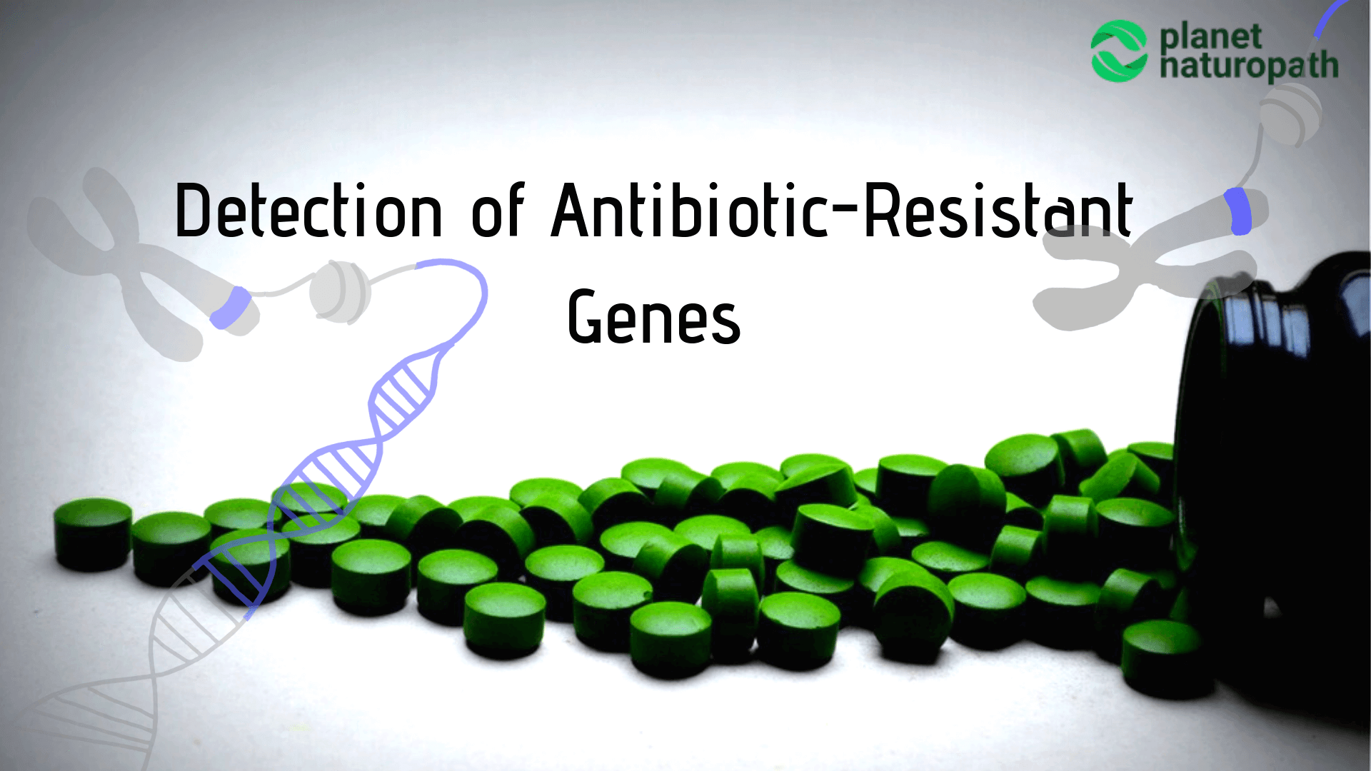 Detection-of-Antibiotic-Resistant-Genes