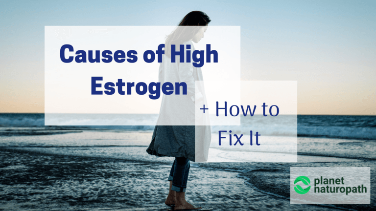 Causes-of-Estrogen-and-How-to-Fix-It