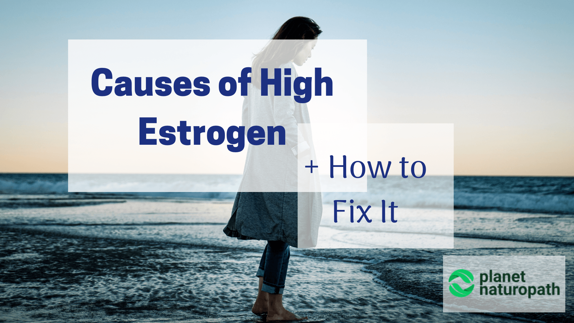 Causes-of-Estrogen-and-How-to-Fix-It