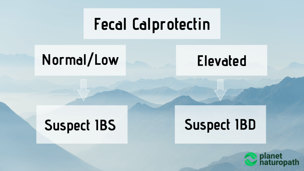 Fecal-Calprotectin