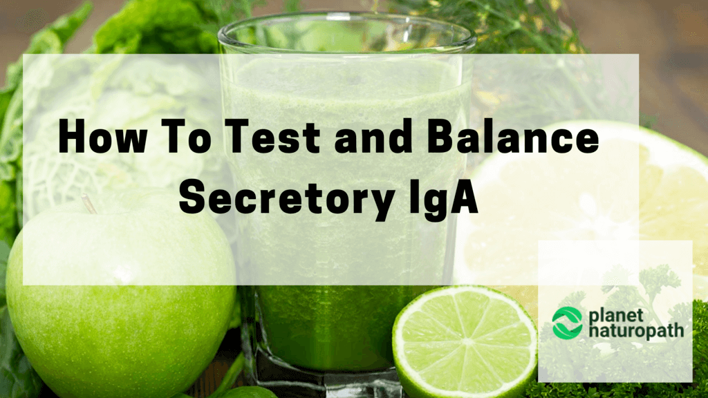 How-To-Test-and-Balance-Secretory-IgA