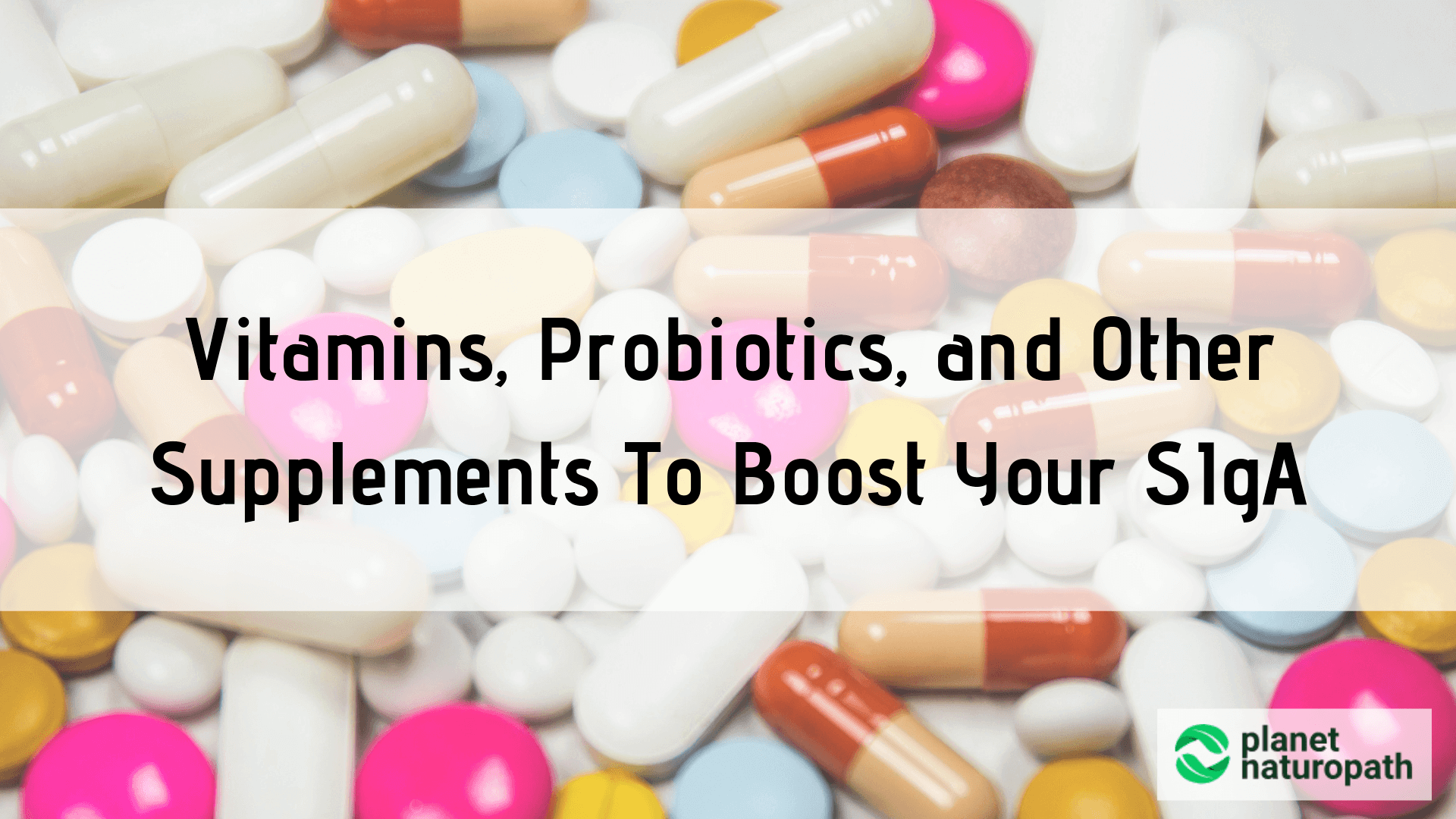 Vitamins-Probiotics-and-Other-Supplements-To-Increase-Your-SIgA