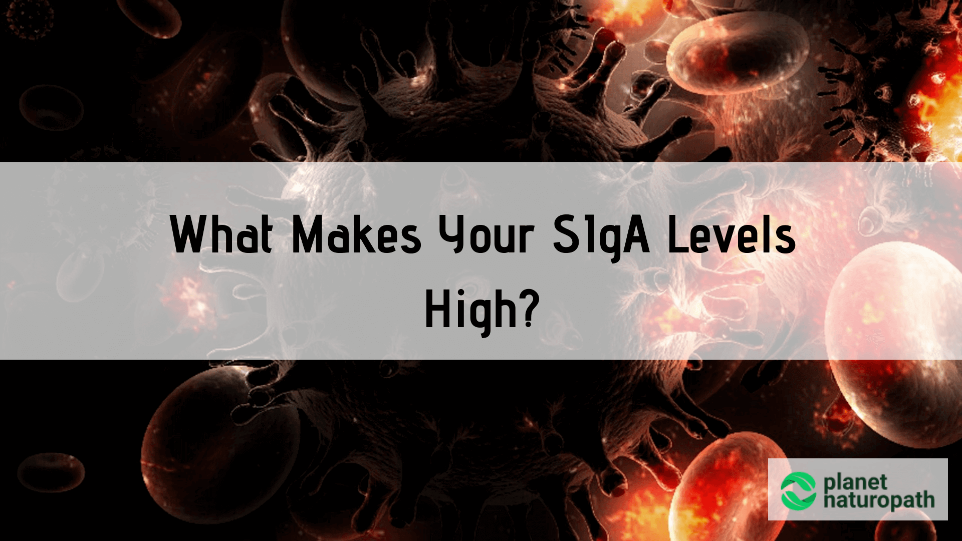 What-Makes-Your-SIgA-levels-Hig