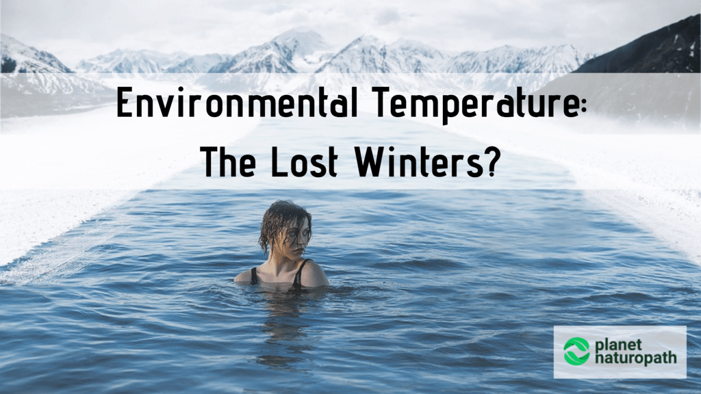 Environmental-Temperature-The-Lost-Winters