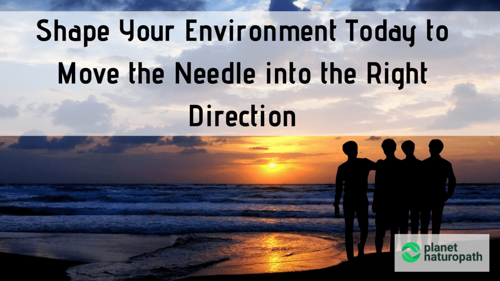 Shape-Your-Environment-Today-to-Move-the-Needle-into-the-Right-Direction
