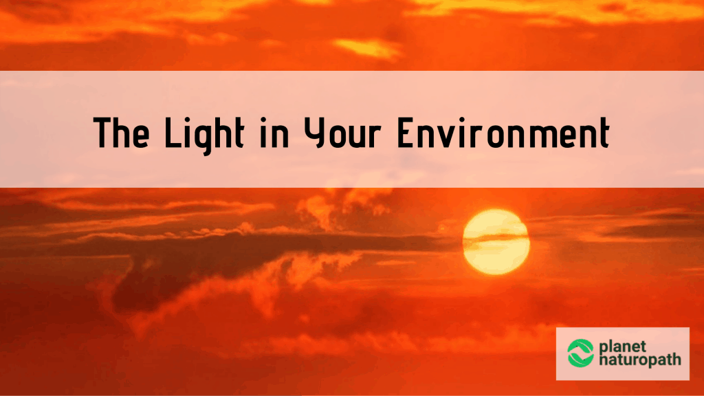 The-Light-in-Your-Environment
