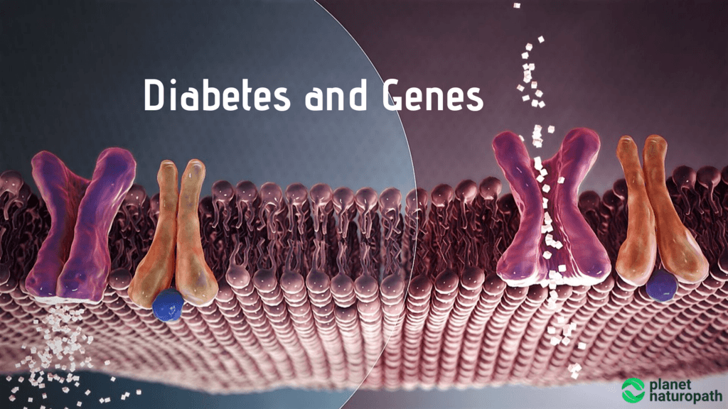Diabetes-and-Genes