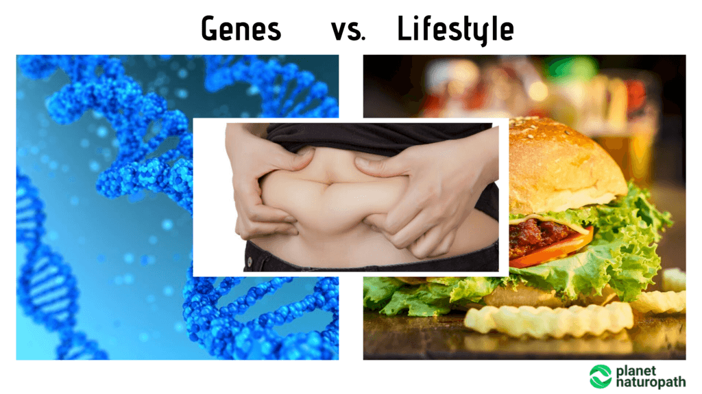 Genes-vs.-Lifestyle