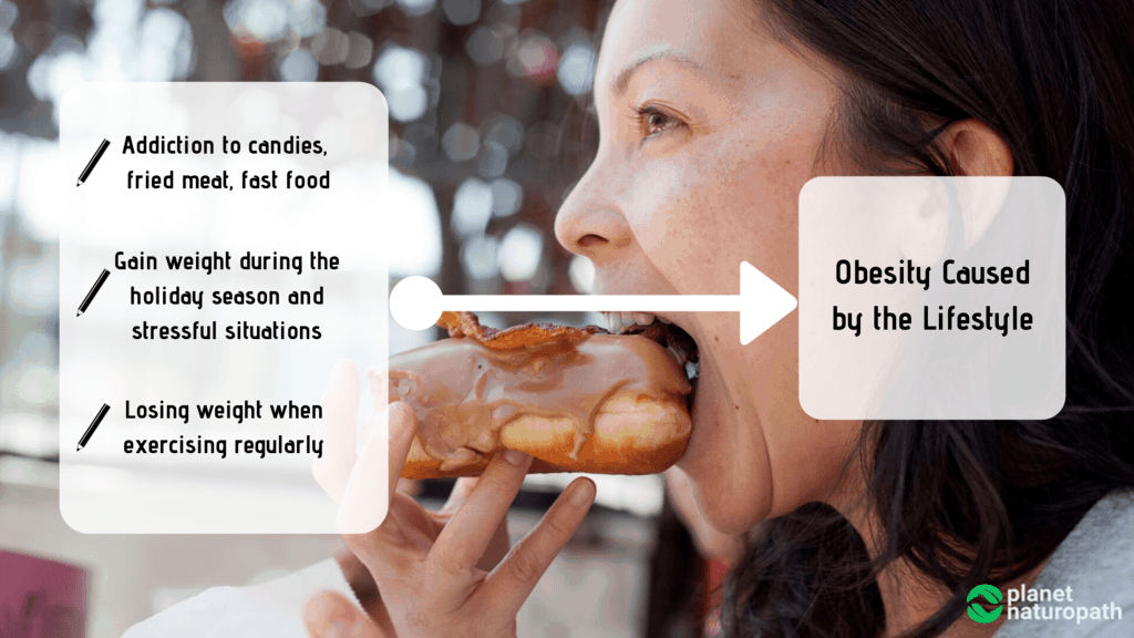 Lifestyle-Causes-of-Obesity