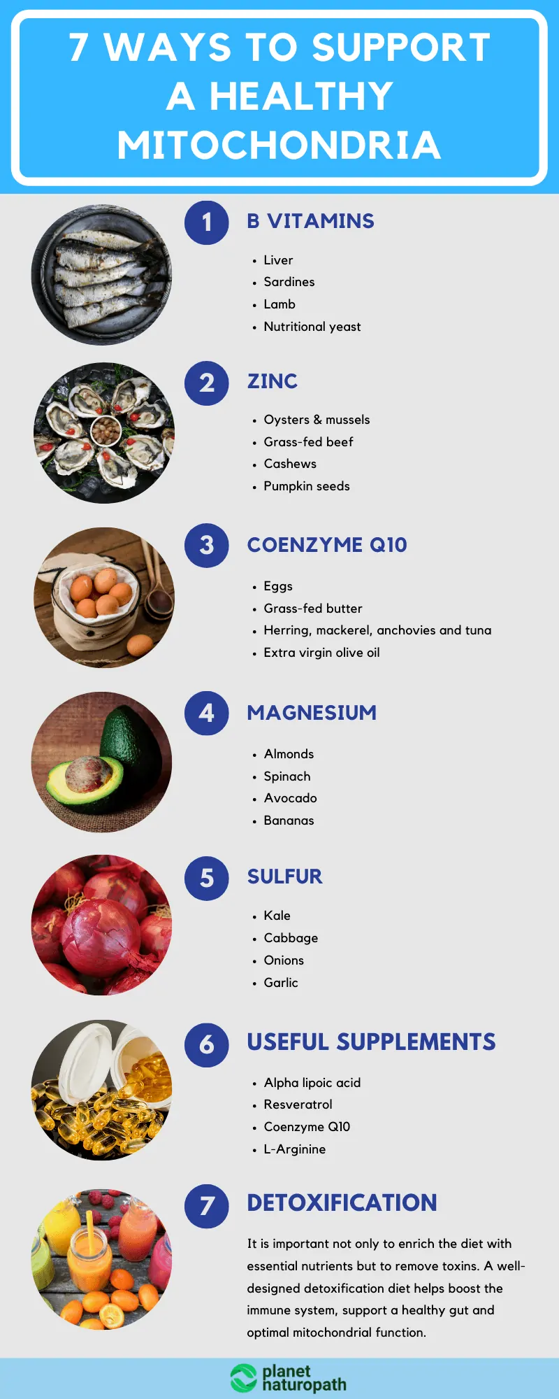 Organic Acid Tests: What It Measures and Why It’s Used? 9 Organic Acid Tests: What It Measures and Why It’s Used? 8