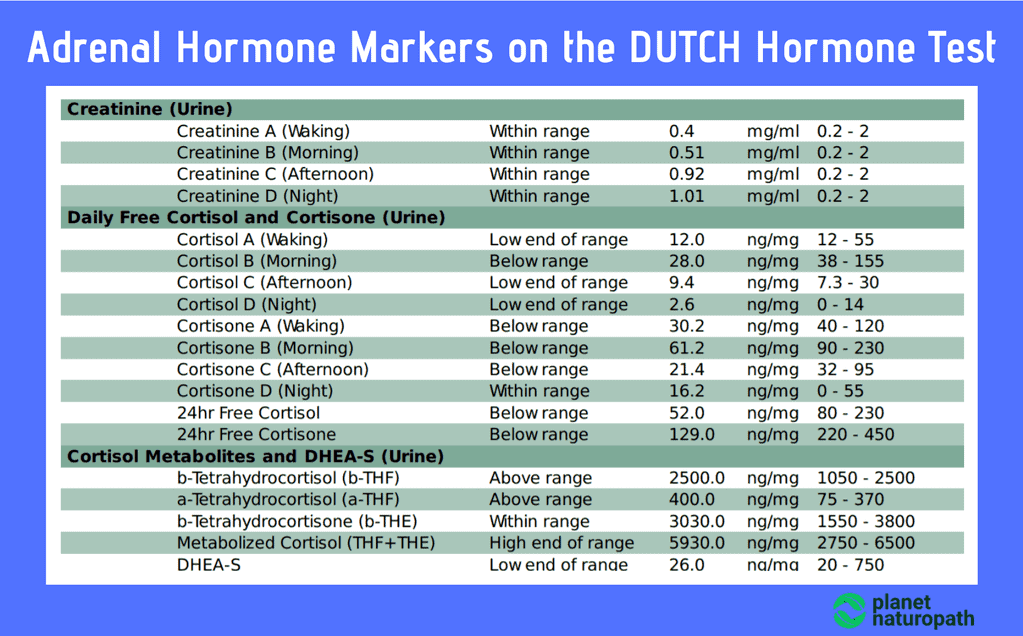 Adrenal-Hormone-Markers-on-the-DUTCH-Hormone