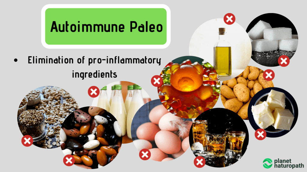 Autoimmune-Paleo