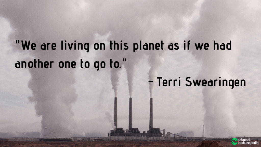 Environmental-Pollution