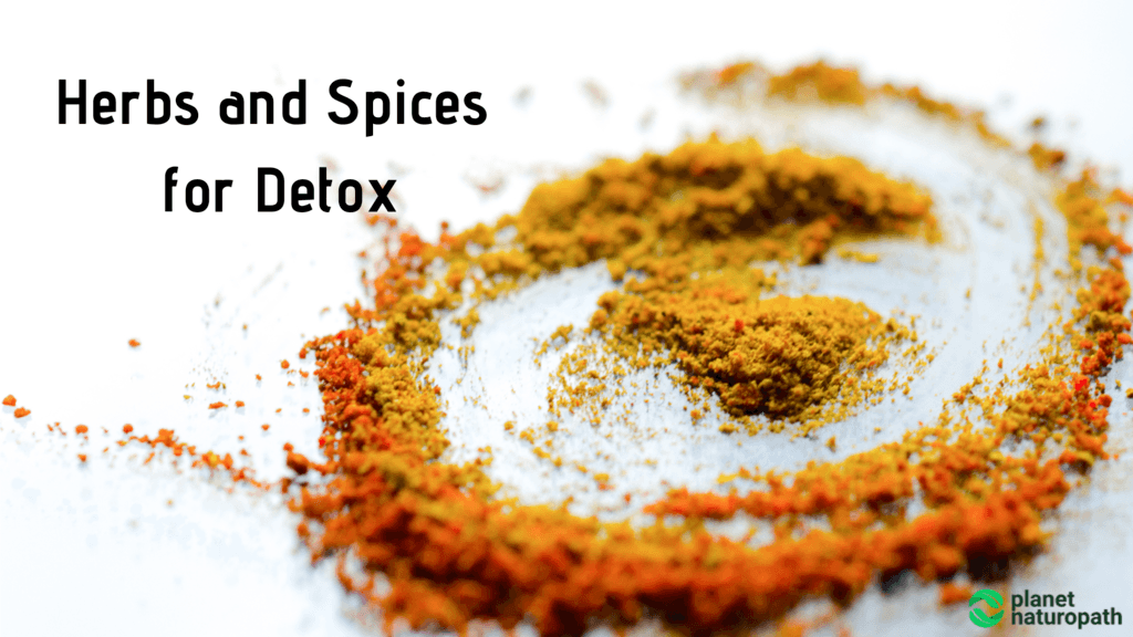 Herbs-and-Spices-for-Detox