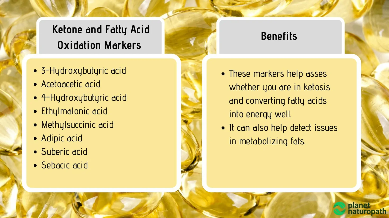 Organic Acid Tests: What It Measures and Why It’s Used? 11 Organic Acid Tests: What It Measures and Why It’s Used? 10