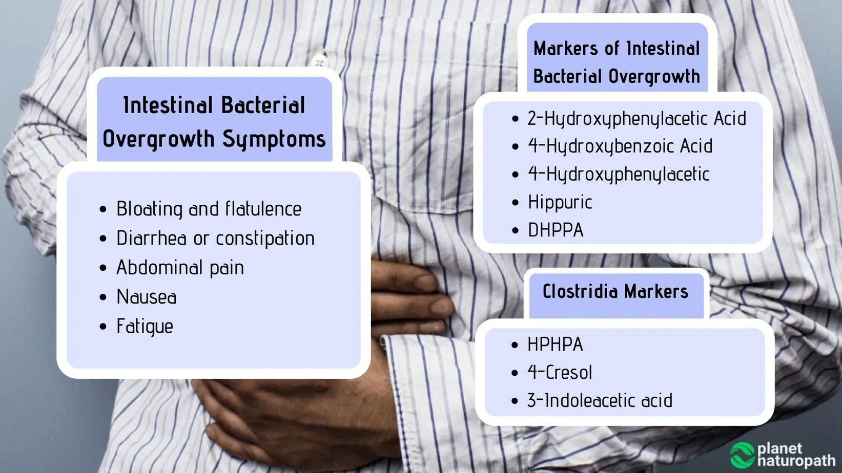 Organic Acid Tests: What It Measures and Why It’s Used? 6 Organic Acid Tests: What It Measures and Why It’s Used? 5