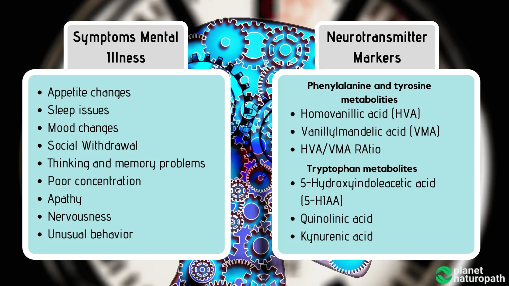 Organic Acid Tests: What It Measures and Why It’s Used? 10 Organic Acid Tests: What It Measures and Why It’s Used? 9