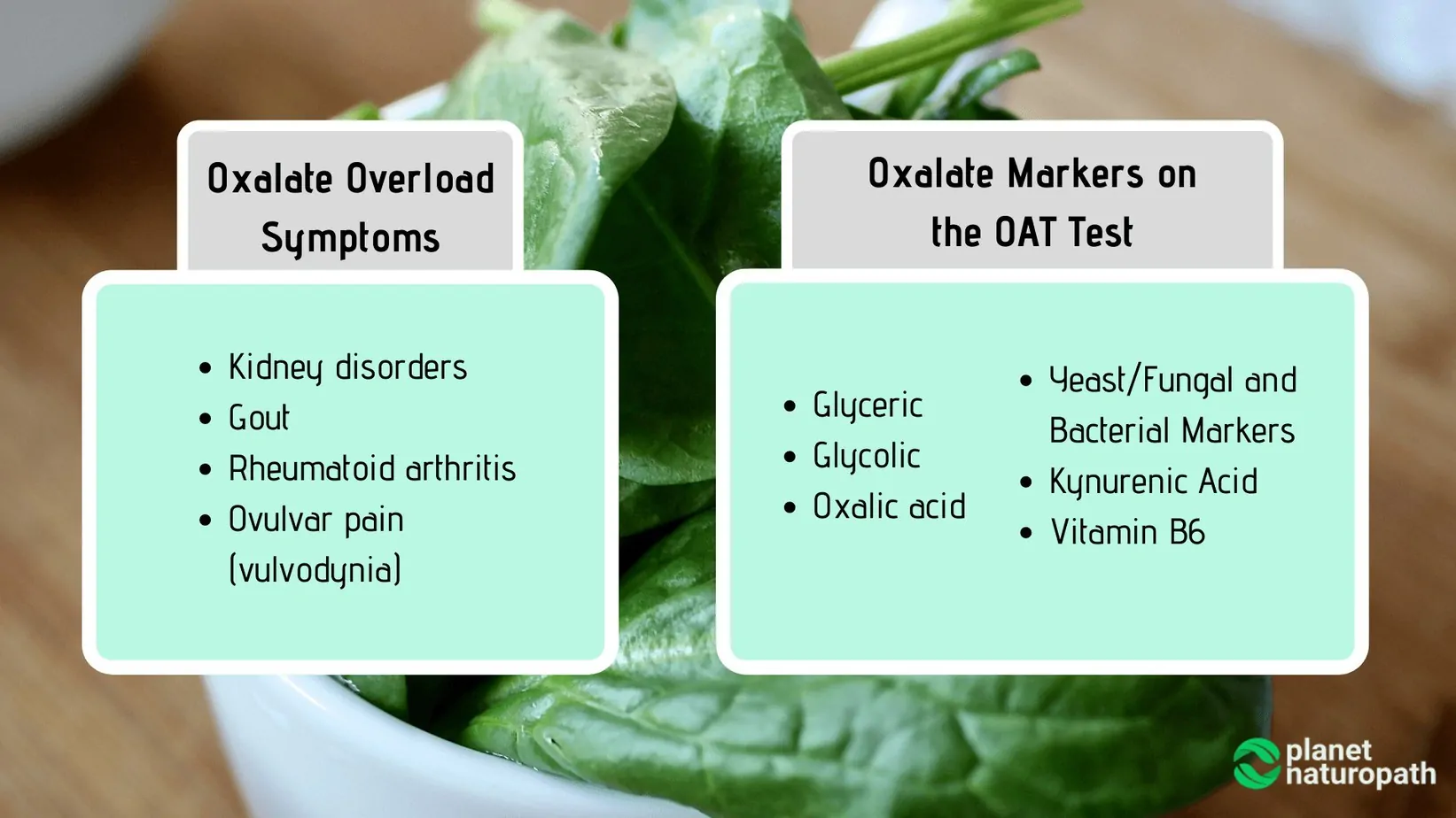 Organic Acid Tests: What It Measures and Why It’s Used? 7 Organic Acid Tests: What It Measures and Why It’s Used? 6