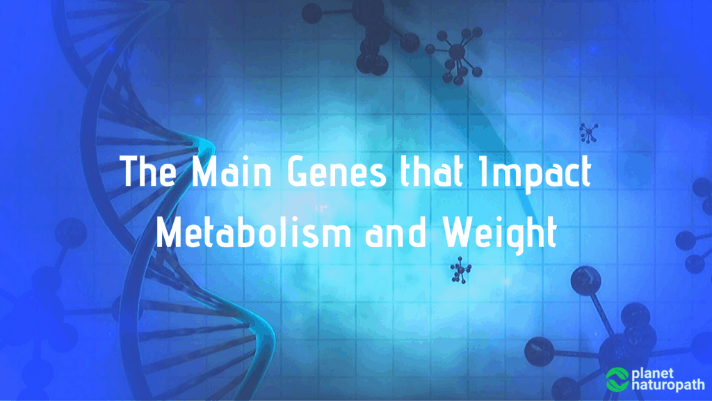 The-Main-Genes-that-Impact-Metabolism-and-Weight