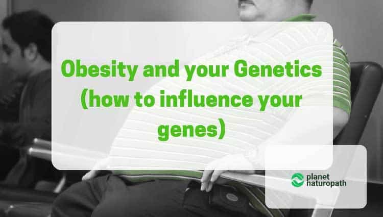 Obesity and Genetics Influences Genes