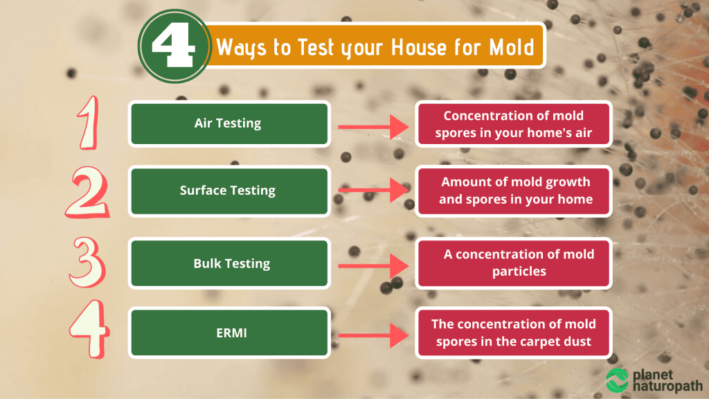 4-Ways-to-Test-your-House-for-Mold