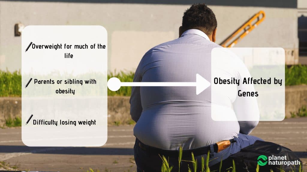 Obesity and Genetics (how to influence your genes) 3 Obesity-Caused-by-Genes