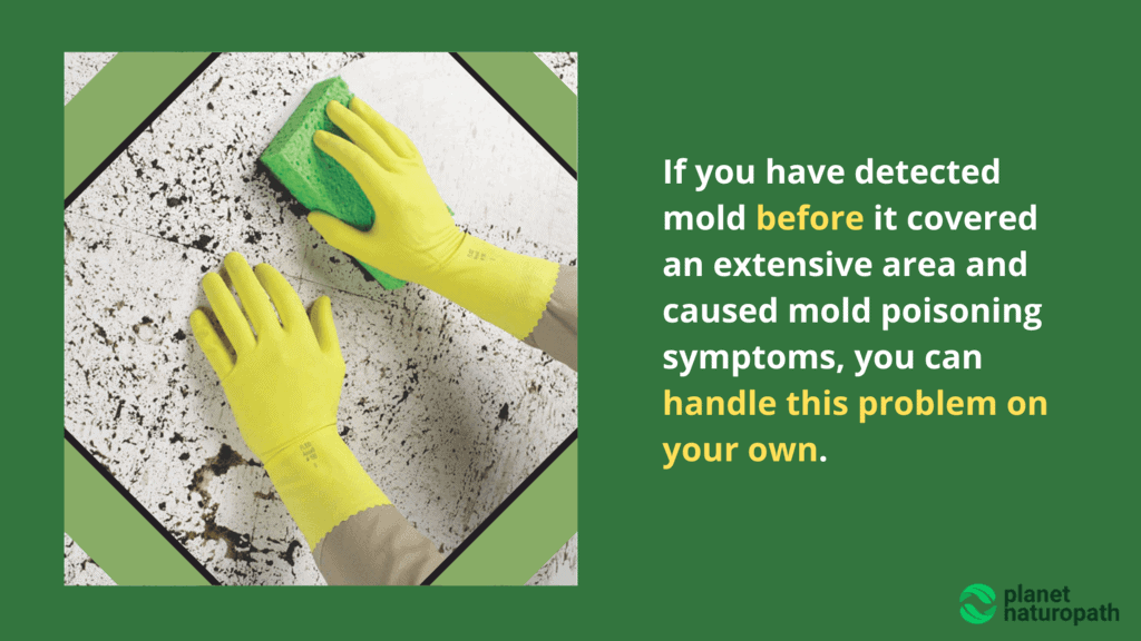 Removing-mold-on-your-own